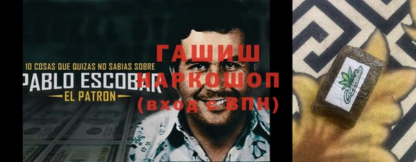 прущие грибы Новодвинск
