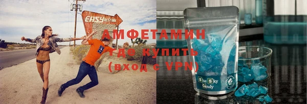 прущие грибы Новодвинск
