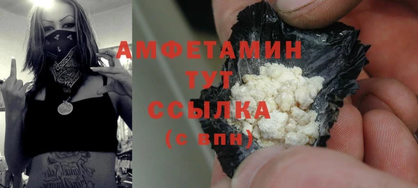 прущие грибы Новодвинск