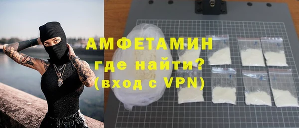 прущие грибы Новодвинск