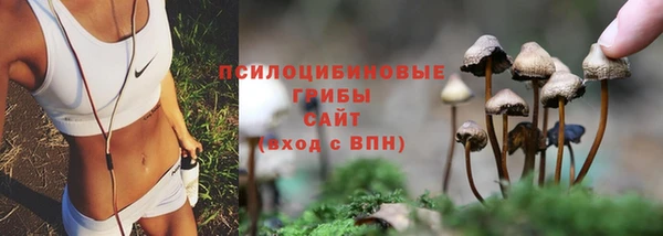 не бодяженный Нягань