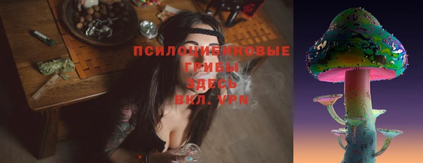 MDMA Premium VHQ Ельня