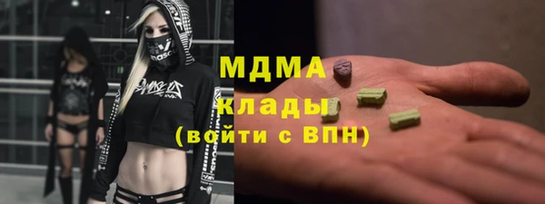 прущие грибы Новодвинск