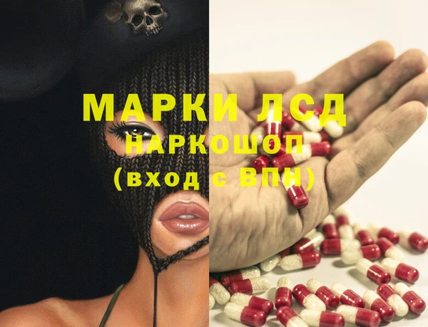 прущие грибы Новодвинск