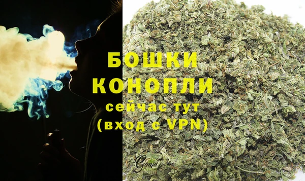 PSILOCYBIN Бабаево
