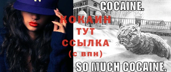 прущие грибы Новодвинск