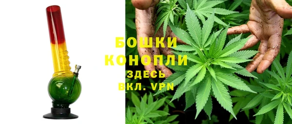 прущие грибы Новодвинск