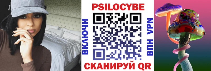 Псилоцибиновые грибы Psilocybe  где купить наркоту  Бакал 