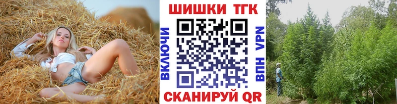 Бошки Шишки план  Бакал 